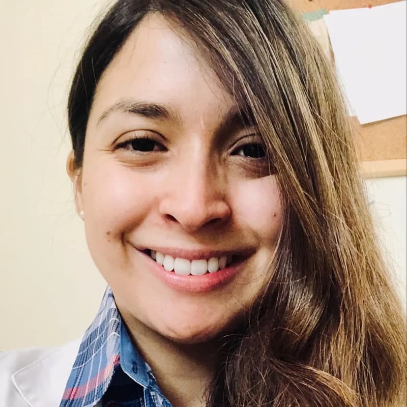 Docente 2